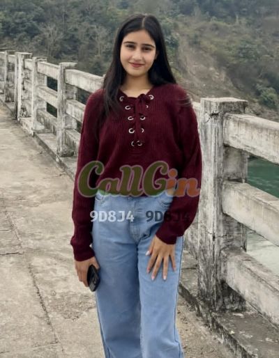 Shruti 9079683151, escort in Electronics City (Bangalore)